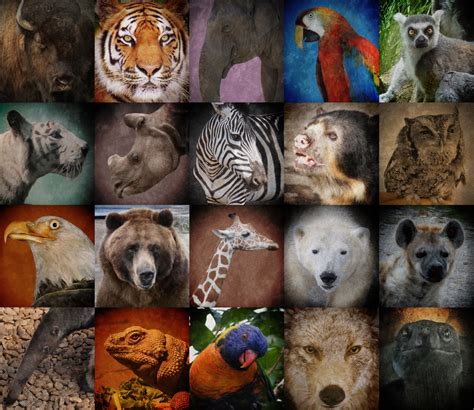 A World Of Endangered Animals 2025 𝚆𝚊𝚝𝚌𝚑 Online With Ads
