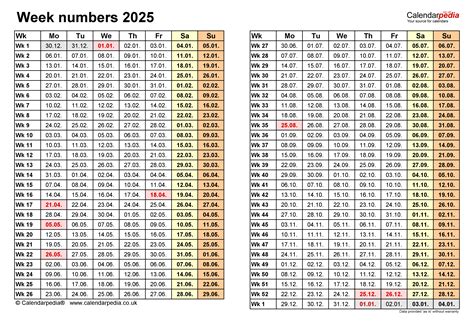 Nigh Is Now! 2025 𝚆𝚊𝚝𝚌𝚑 On Local Channels

