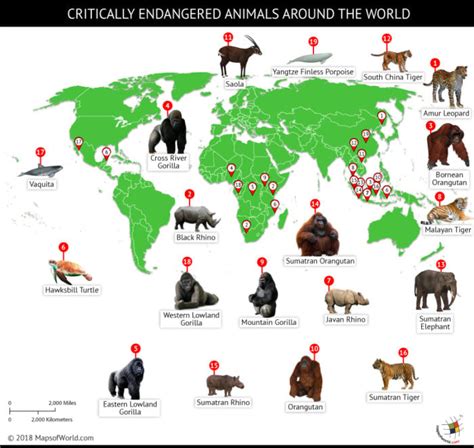 A World Of Endangered Animals 2025 𝚆𝚊𝚝𝚌𝚑 On Viewer-supported Platforms
