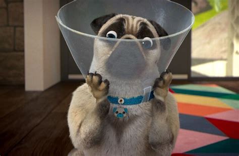 Abraca-Disaster! 2025 Best Way To 𝚆𝚊𝚝𝚌𝚑 Online
