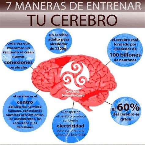 Cómo entrenar a tu